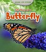 Life Story of a Butterfly - Charlotte Guillain - 9781406282375