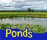 Ponds - Diyan Leake - 9781406283952