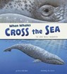 When Whales Cross the Sea - KATZ COOPER,  Sharon - 9781406293449