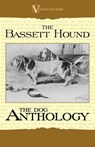 The Basset Hound - A Dog Anthology (A Vintage Dog Books Breed Classic) - Various (selected by the Federation of Children's Book Groups) - 9781406791167