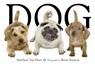 Dog - Matthew Van Fleet - 9781416941378
