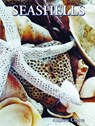 Seashells - Andrew Cleave - 9781422243084