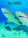 Sharks - Andrew Cleave - 9781422243107