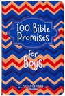 100 Bible Promises for Boys - Broadstreet Publishing Group LLC - 9781424571604