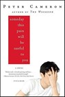 Someday This Pain Will Be Useful to You - Peter Cameron - 9781429927130