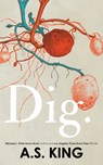 Dig - A S King - 9781432875589