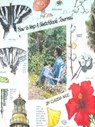 How to Keep a Sketchbook Journal - Claudia Nice - 9781440319990
