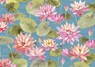 Water Lilies Note Cards (14 Cards, 15 Self-Sealing Envelopes) -  - 9781441348005