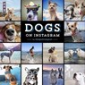 Dogs on Instagram - @dogsofinstagram - 9781452152820