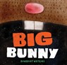 Big Bunny - Rowboat Watkins - 9781452163901