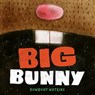 Big Bunny - Rowboat Watkins - 9781452165530