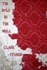 The Hole in the Wall - Clare Fisher - 9781458000835