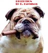 Deception - Robert Davidson - 9781465820273