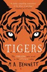 STAGS 4: TIGERS - M A Bennett - 9781471408687
