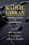 KAHLIL GIBRAN Boundless Sorrow & Unclouded Joy - Murat Durmus - 9781471665950