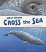 When Whales Cross the Sea: The Gray Whale Migration - Sharon Katz Cooper - 9781479561032