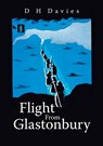 Flight From Glastonbury - D H Davies - 9781483437835