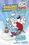 Magical Mischief - Steve Korté - 9781484672068