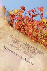 Creativity: Establish Visibility - Morwenna Assaf - 9781502285751