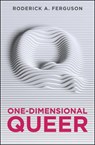 One-Dimensional Queer - Roderick A. Ferguson - 9781509523559