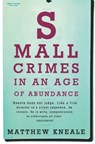 Small Crimes in an Age of Abundance - Matthew Kneale - 9781509837731