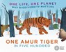 One Life, One Planet: One Amur Tiger in Five Hundred - Sarah Ridley - 9781526323088