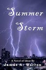 Summer Storm - WARREN,  James a. - 9781533414212
