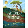 WHERE IS WISDOM - Scott James - 9781535965965