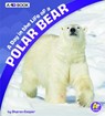 A Day in the Life of a Polar Bear: A 4D Book - Sharon Katz Cooper - 9781543515206
