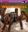 Invertebrates - Melissa Ferguson - 9781543526455