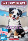 Ozzie - Ellen Miles - 9781546131519