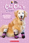CHI Chi's Story (the Dodo) - Aubre Andrus - 9781546171706