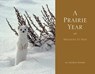 A Prairie Year: Messages to Max - George Rohde - 9781591521266