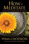 How to Meditate - CHOEDROEN,  Pema - 9781604079333