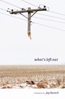 What's Left Out - Jay Baruch - 9781606352335
