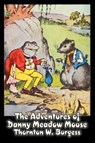 The Adventures of Danny Meadow Mouse by Thornton Burgess, Fiction, Animals, Fantasy & Magic - Thornton W. Burgess - 9781606642740