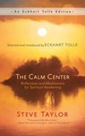The Calm Center - Steve Taylor - 9781608689750