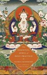 The Essential Jewel of Holy Practice - RINPOCHE,  Patrul - 9781614294474