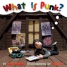 What Is Punk? - Eric Morse - 9781617753923