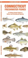 Connecticut Freshwater Fishes - Matthew Morris - 9781620056776