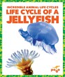 Life Cycle of a Jellyfish - KENNEY,  Karen - 9781624968129
