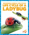 Life Cycle of a Ladybug - Karen Kenney - 9781624968198