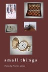 small things - Peter G. Quinn - 9781625494306