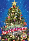 Christmas - Rachel Grack - 9781626175921
