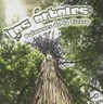Los arboles: Pulmones de la tierra - Barbara Webb - 9781627172608