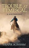 Trouble at Temescal - BONHAM,  Frank - 9781628998443