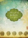 Through the Bible in a Year - Ellie Claire - 9781633260894