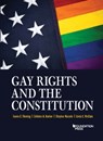 Gay Rights and the Constitution - James E. Fleming ; Sotirios A. Barber ; Stephen Macedo ; Linda C. McClain - 9781634602686