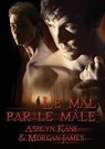 Mal Par Le Mle (Translation) - Ashlyn Kane ; Morgan James - 9781634762502