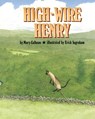 High-Wire Henry - Mary Calhoun - 9781635618488